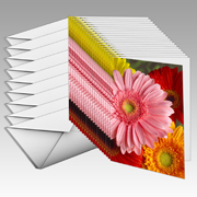 5x7" 20-Pack & envelope